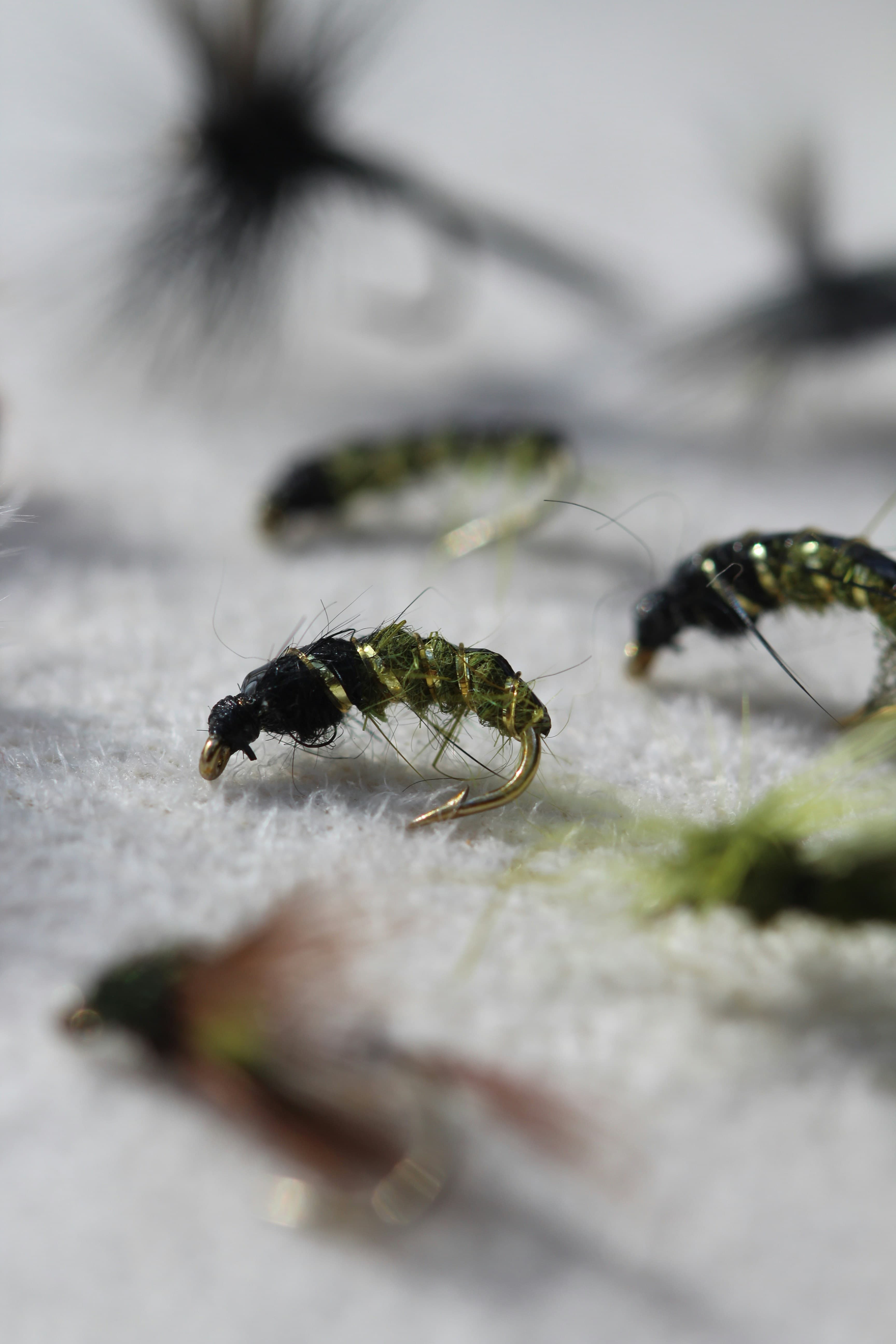 EPT nymphs — stoneflies, caddis, and mayflies of mountain streams