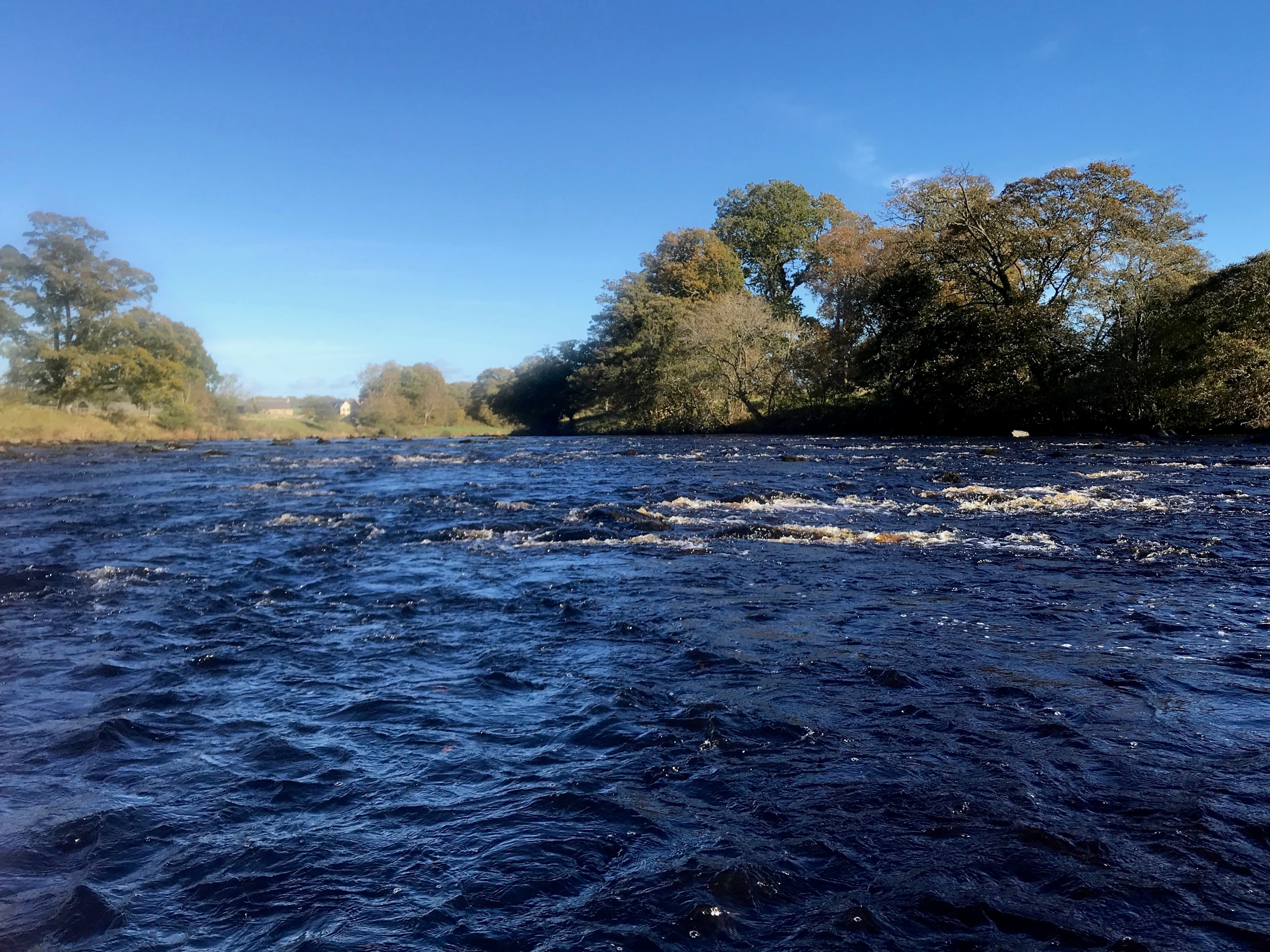 A salmon pool in autumn — the water that holds the fish